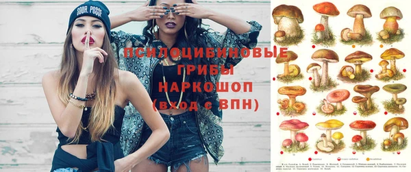 ГАЛЛЮЦИНОГЕННЫЕ ГРИБЫ Протвино